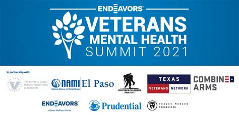 Veterans Mental Health Summit Endeavors