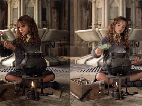 Hermione Granger Fake Photo