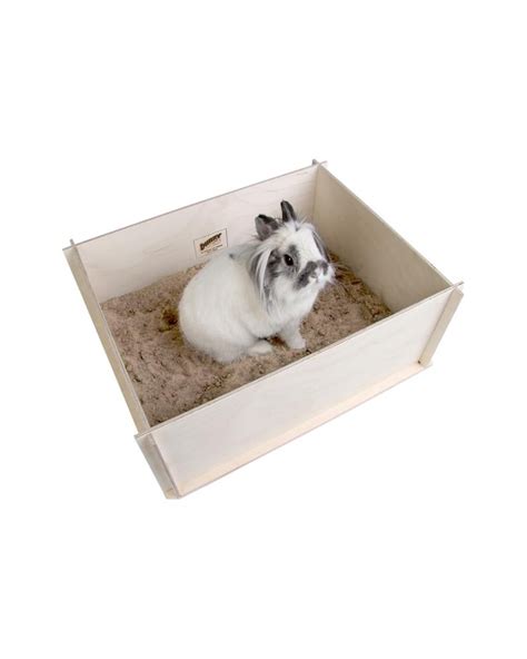Bunny Interactive Digging Box Para Conejos