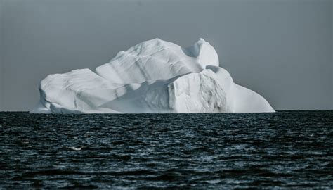 Massive iceberg on collision course with penguin sanctuary - Did That ...
