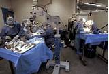 Images of Feline Kidney Transplant Facilities