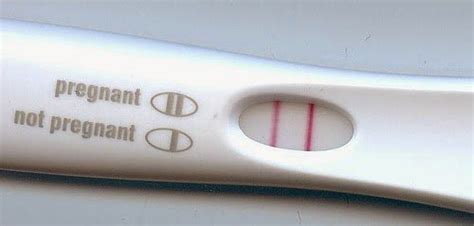 False Pregnancy Test Results Are They Common