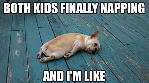 For Tired Cranky Overwhelmed Mothers Everywhere Funny Puppy Memes