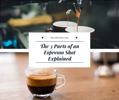 The 3 Parts Of An Espresso Shot Explained