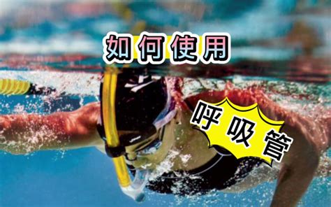 游泳学习“神器”「呼吸管」：如何使用与训练方法 泳培帮go游泳 泳培帮go游泳 哔哩哔哩视频