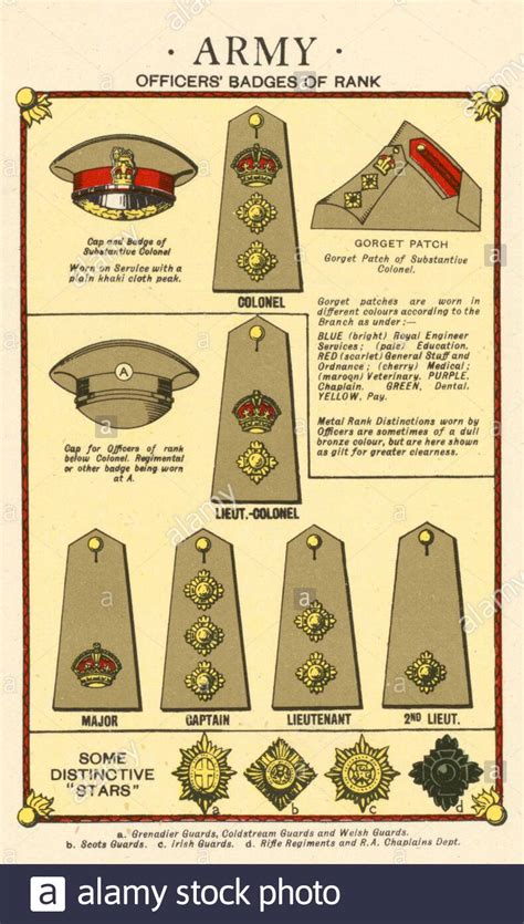 Ranks And Insignia Of The British Armed Forces Army From WW2