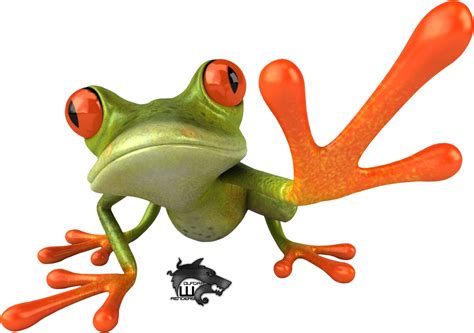 Download Frog Image Hq Png Image Freepngimg