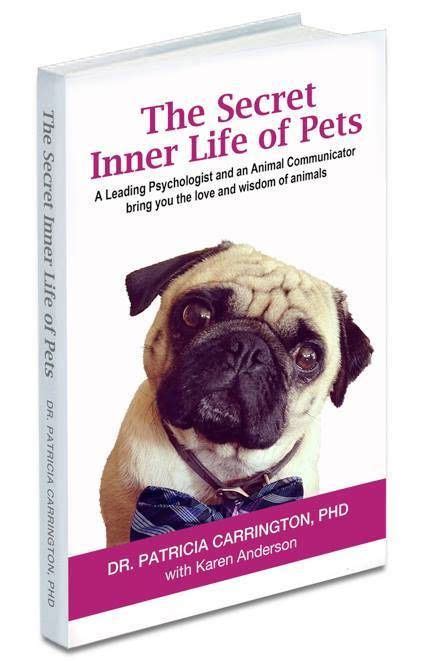 Pet Loss And Pet Communication Books Karen Anderson Communication