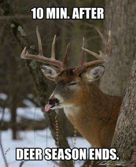 Pin By Kylie Mosley On Funny Hunting Memes Hunting Humor Deer