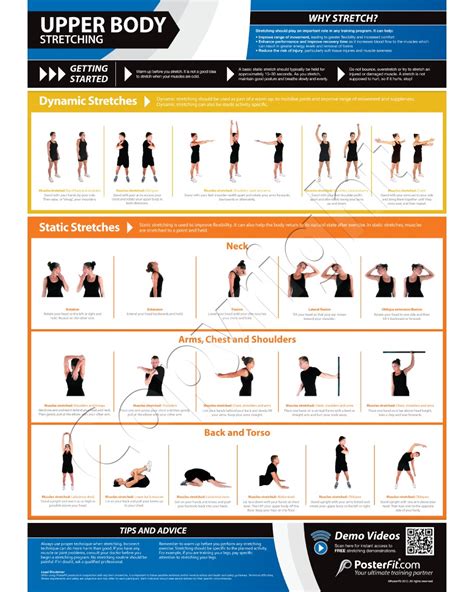 Upper Body Exercise Wall Poster