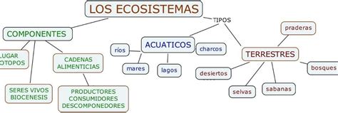 Mapa Conceptual De Los Ecosistemas Acuaticos Terrestre Y Mixto