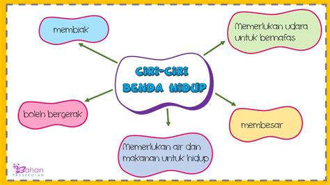 Ternyata, menilai sukses atau tidaknya seseorang bisa dilihat dari tetapkan target kapan harus melunasi semua hutang. Nota Sains.. Benda hidup * Ciri-ciri... - Bahan Prasekolah ...