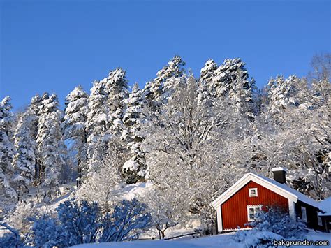 Den gillar också gröt för den är tomte. tomtebilder | Rolf´s Naturfotoblogg