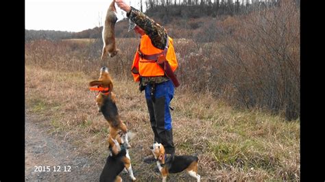 Skyviews Beagles Rabbit Hunting With Greg Hanner Gene Felton And Ron