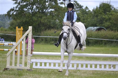 Free Images White Jump Motion Stallion Competition Mare Event
