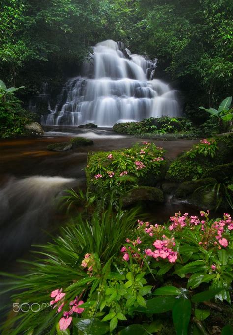 Waterfall With Pink Flowers By Yongyot Therdthai Park Trees