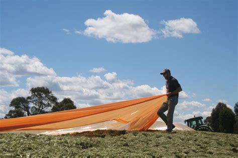 Leading The Silage Industry Stock And Land Vic