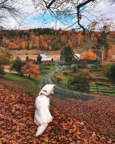 Sleepy Hollow Farm Pomfret Vermont — By Rachel Samanyi The Iconic