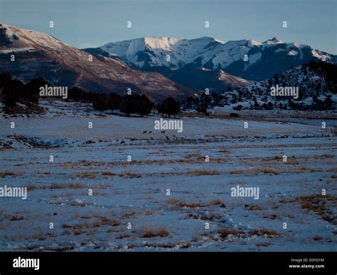 Spectacular Dallas Divide On A Winter Morning Stock Photo Alamy