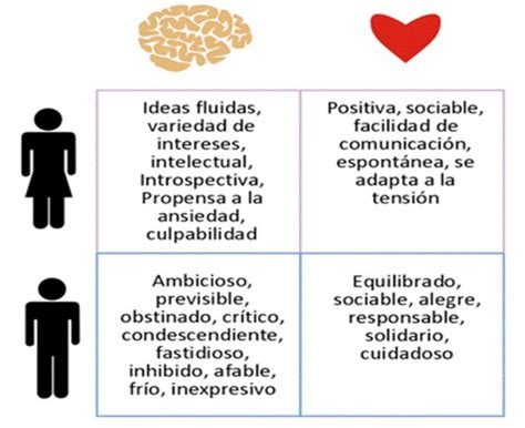 The Four Stages Of Social Interaction In Spanish
