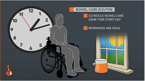 How do paralyzed people poop? How Do Paralyzed People Use The Bathroom : Pin On Accessible Design / We use our room as a study ...