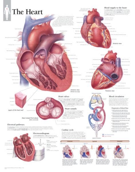 The Heart Scientific Publishing