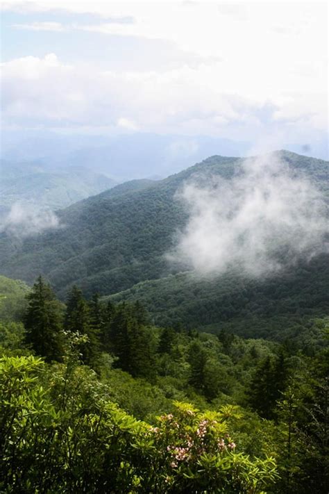 Springtime Happiness Is Hiking In The Beautiful Blue Ridge Mountains