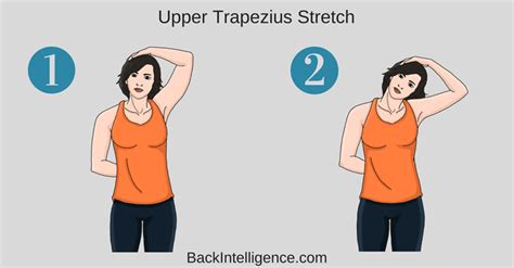10 Posture Correction Exercises Upper And Lower Back