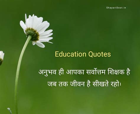 50 Educational Quotes In Hindi शिक्षा पर अनमोल विचार 2023