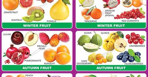 Spectrum Educational Charts Chart 672 Seasonal Fruits