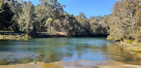 Lane Cove National Park Riverside Dr North Ryde Nsw 2113 Australia