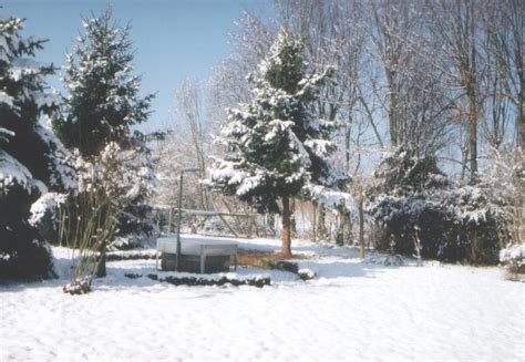 Es hat frisch geschneit und die sonne strahlt. Garten im Winter