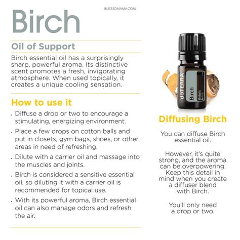 How To Use Birch Essential Oil Birch Benefits Uses And Sourcing