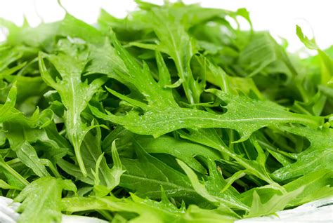 Mizuna Greens Great For Salads Premium Garden Seeds Hoss Tools
