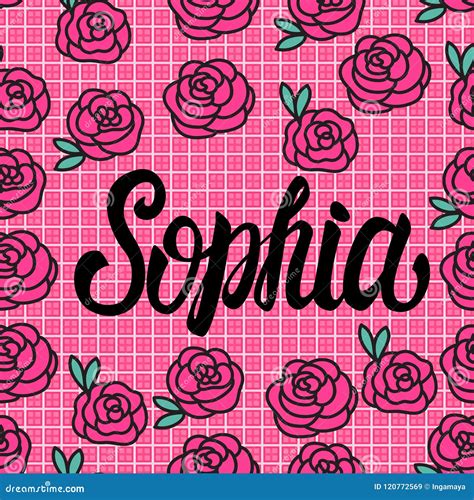 Sophia Name Card With Lovely Pink Roses Vector Illustration Stock Vector Illustration Of