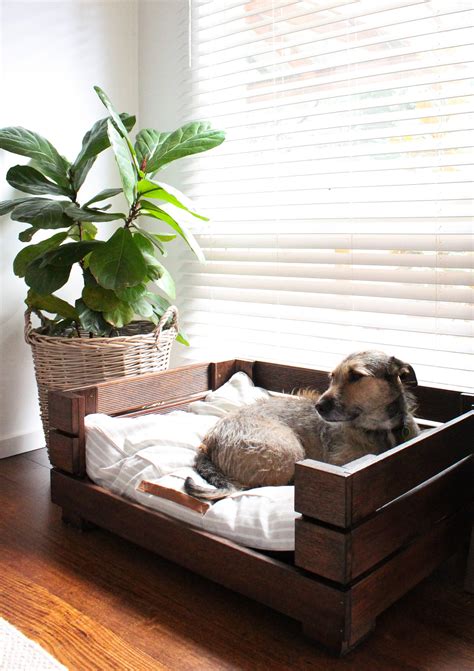 Simple Diy Guide To Building A Dog Bed Frames Your Pooch Will Love
