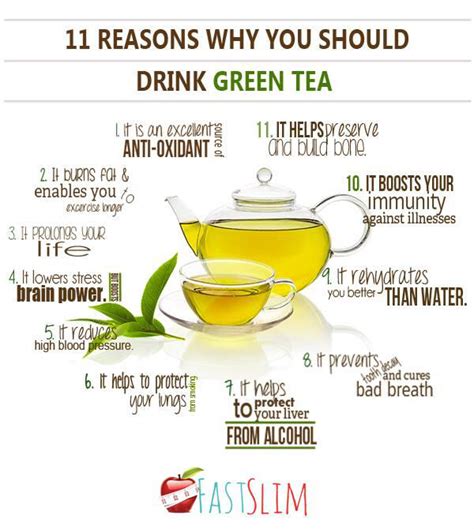 Why green tea can lose weight. Slimming With Green Tea - Fastslim-Weight Loss Plan
