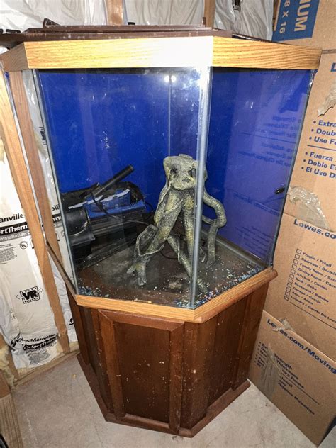 55 Gallon Hexagon Aquarium With Oak Standlid For Sale In Lawrenceville