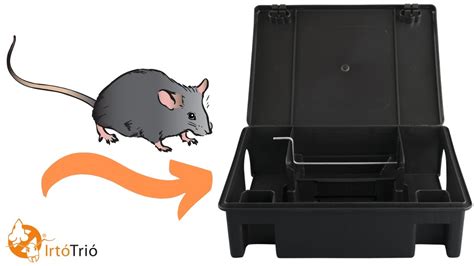 Bait Box For Rats Professional Rat Bait Box Rat Bait Station Youtube
