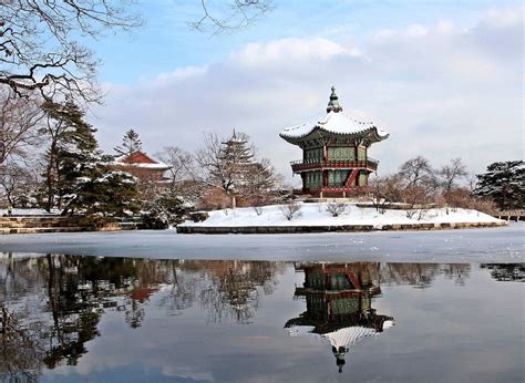 If you are going to visit korea this winter, here are 5 instagramworthy places in korea during this specific season you need to check out. 5 ways to enjoy South Korea's winter without freezing your ...