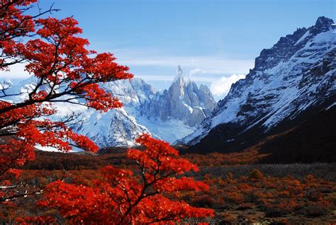 Cerro Torre El Chaltén Ruta 40 En Argentina Autumn Nature Autumn