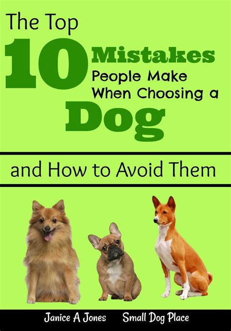 Some will simply be stinky in a gross, fishy sort of way. 20 Best Dog Breeds for Seniors and Retirees | Small Dog ...