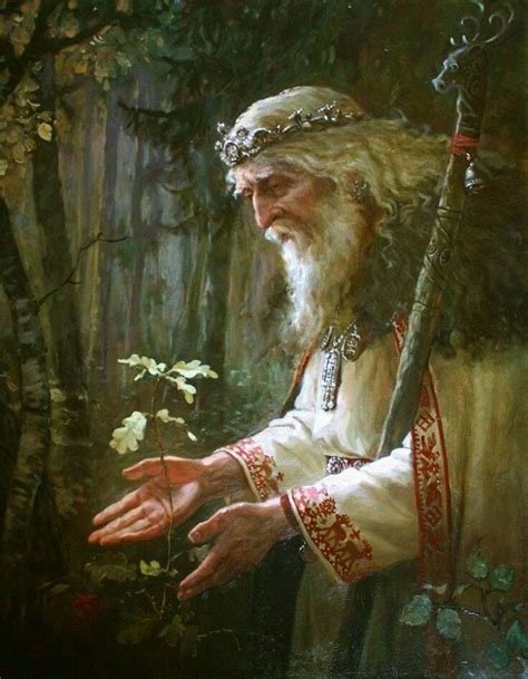 Druid Mitologia Celtica Personaggi Immaginari Arte Fantasy