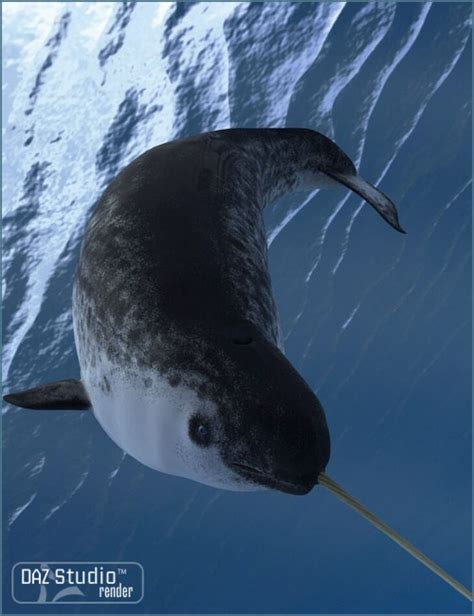 Narwhal Render State