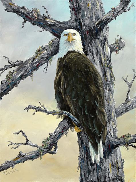 Tonys Eagle Painting By Kathleen Tucker Fine Art America