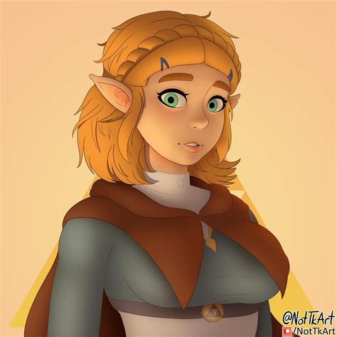 [botw] Princess Zelda Nottkart R Zelda
