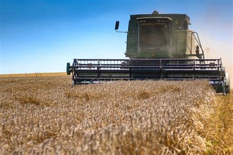 Memorandum Regulating Ukraines Grain Export In 202021 To Be Signed On