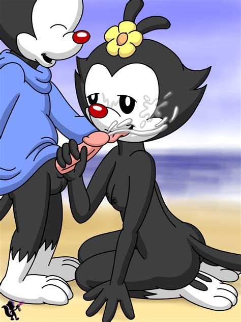 Rule 34 Animaniacs Beach Black Fur Breasts Brother