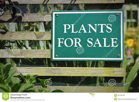Free uk delivery is included as standard. Plants For Sale Sign Stock Photo - Image: 44734753