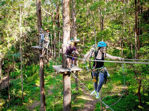 Treetop Challenge Currumbin Wildlife Sanctuary Attraction Jumpon